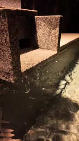 日々旅にしてホテル暮らしのTikTok投稿