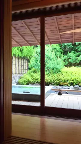 日々旅にしてホテル暮らしのTikTok投稿