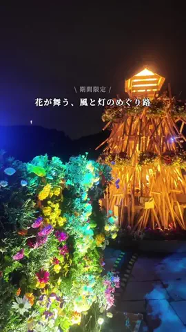 MIZUKI | 東京おでかけスポットのTikTok投稿