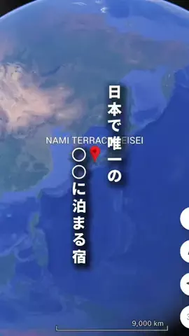 旅んちゅLife✈︎大切な人と最高な宿へのTikTok投稿
