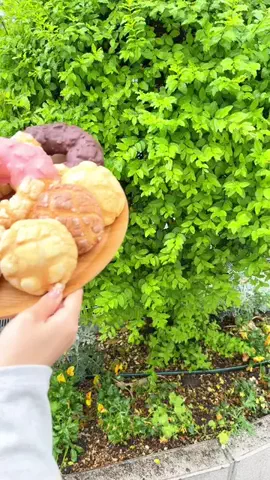 ふくまる旅のTikTok投稿