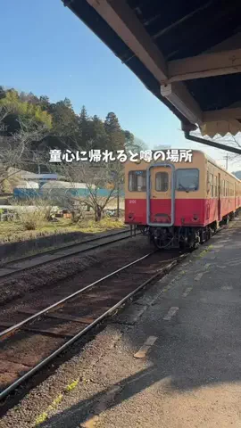 ゆみ | 東京発のお出かけ情報まとめのTikTok投稿
