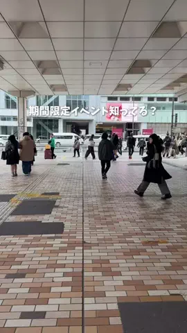 ゆみ | 東京発のお出かけ情報まとめのTikTok投稿