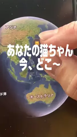 ひげおとめ🍦のTikTok投稿