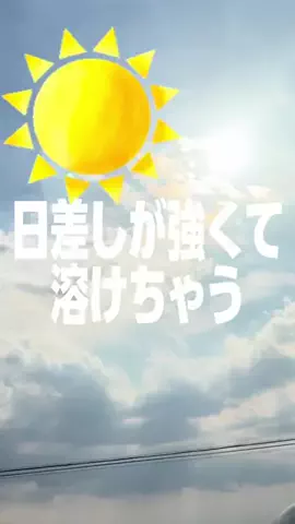 ひげおとめ🍦のTikTok投稿