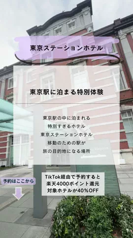しー：0歳2歳の姉妹とお出かけのTikTok投稿