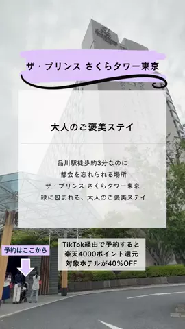 しー：0歳2歳の姉妹とお出かけのTikTok投稿
