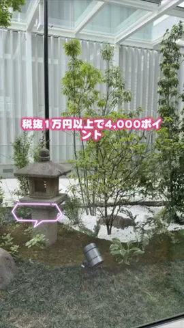 しー：0歳2歳の姉妹とお出かけのTikTok投稿