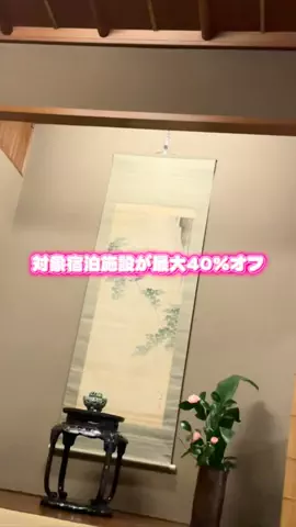 しー：0歳2歳の姉妹とお出かけのTikTok投稿