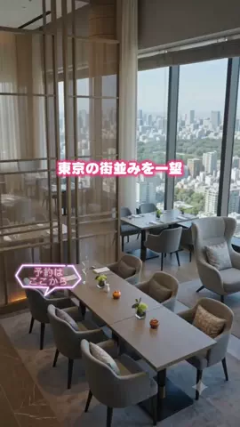 しー：0歳2歳の姉妹とお出かけのTikTok投稿