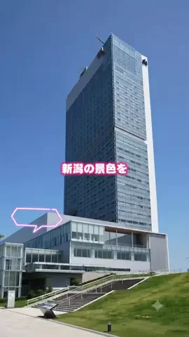 しー：0歳2歳の姉妹とお出かけのTikTok投稿