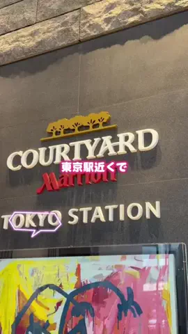 しー：0歳2歳の姉妹とお出かけのTikTok投稿