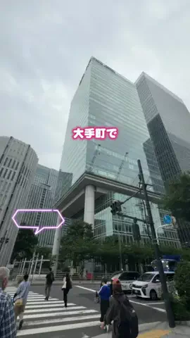 しー：0歳2歳の姉妹とお出かけのTikTok投稿