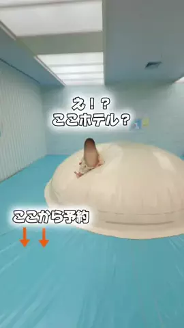 しー：0歳2歳の姉妹とお出かけのTikTok投稿