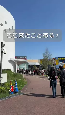 しー：0歳2歳の姉妹とお出かけのTikTok投稿