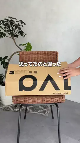 ももぞう骨ストのTikTok投稿
