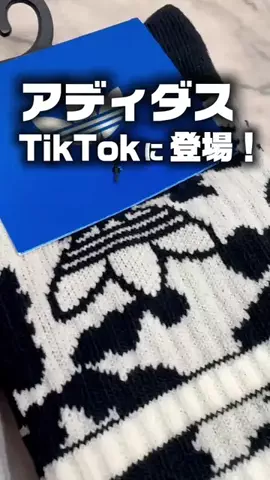 RIHOのTikTok投稿