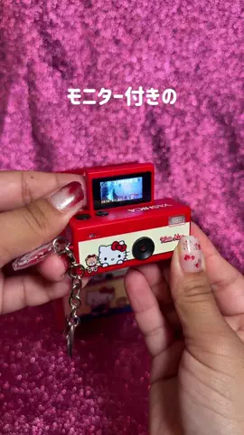 パンダのぱんちゃんのTikTok投稿