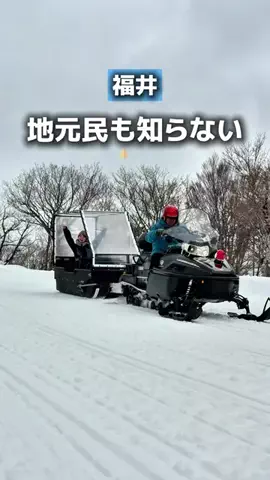 みどりザウルス【福井グルメ 観光 体験】のTikTok投稿