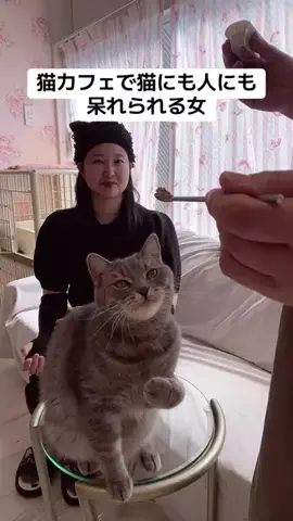 ふみぱん🍞☀️のTikTok投稿