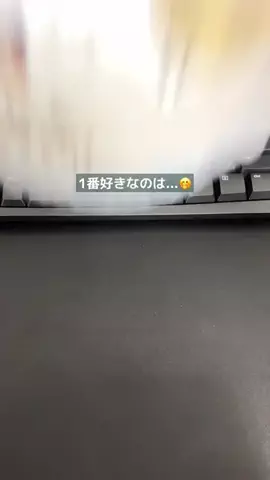 sakko_excelのTikTok投稿