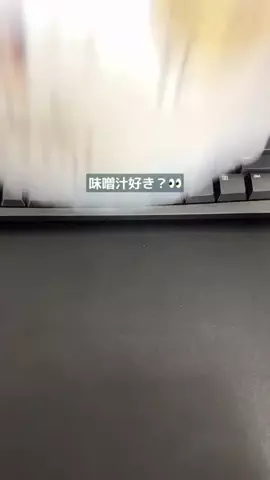 sakko_excelのTikTok投稿