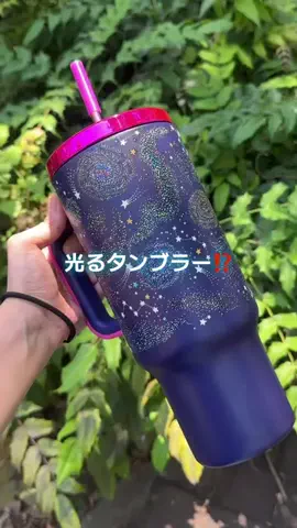 チビちゃんのTikTok投稿