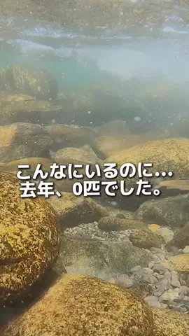 mina.kamimuraのTikTok投稿