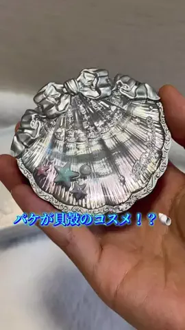 チビちゃんのTikTok投稿