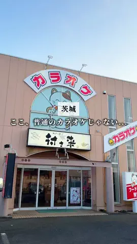 ゆか🍃茨城のおでかけ・グルメのTikTok投稿