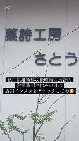 えち🐼のTikTok投稿