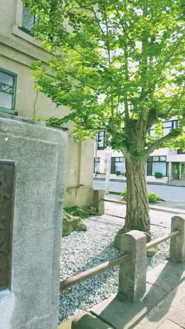 えち🐼のTikTok投稿
