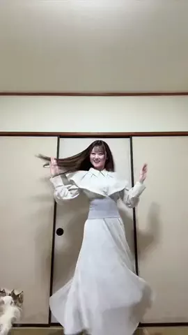 ちゃんちゃんまるのTikTok投稿