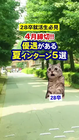 就活猫猫のTikTok投稿