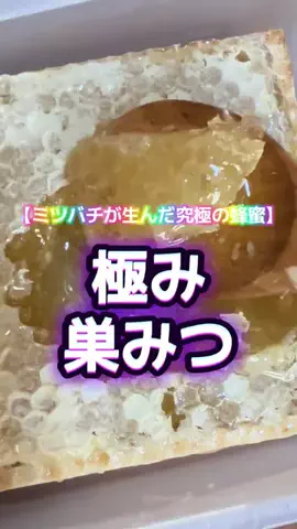 🍋remon🍋🏍️coelacanthのTikTok投稿