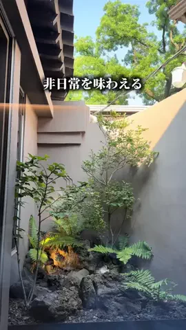noritter🩷韓国トレンドコミュニティのTikTok投稿