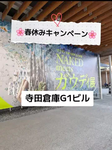 ホーリーゆうのTikTok投稿
