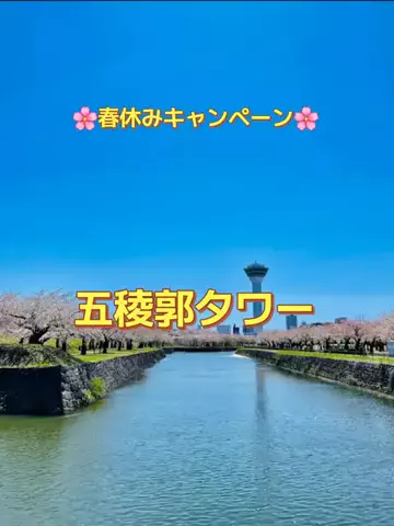 ホーリーゆうのTikTok投稿