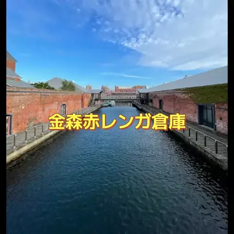 ホーリーゆうのTikTok投稿