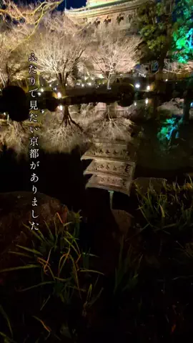 ぎょ丼💚のTikTok投稿