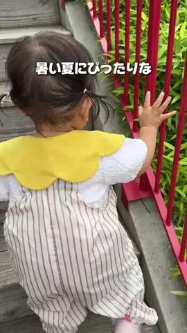 しごおわ主婦のTikTok投稿