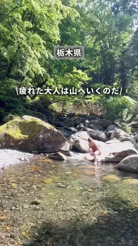 もも|栃木グルメ&日帰りスポット🍑のTikTok投稿