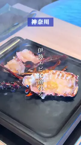 とーやのTikTok投稿