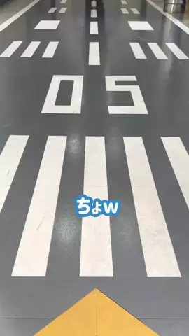 BIZニュースいしかわのTikTok投稿