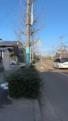 BIZニュースいしかわのTikTok投稿