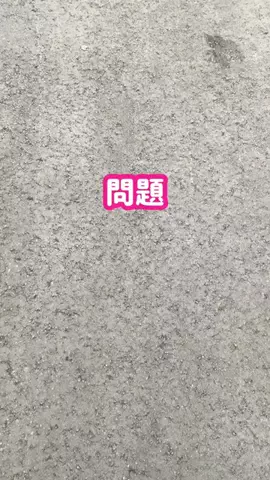 BIZニュースいしかわのTikTok投稿