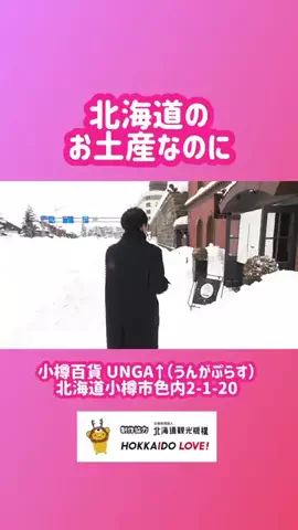 BIZニュースいしかわのTikTok投稿