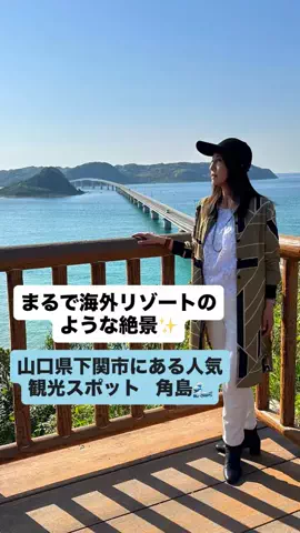 田村 享子のTikTok投稿