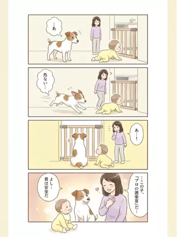 都内のチワワのTikTok投稿