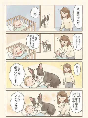 都内のチワワのTikTok投稿